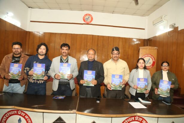 हिमालय की आवाज़, वैश्विक सिनेमा का मंच